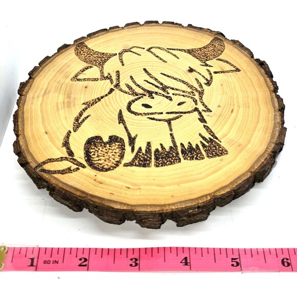 Highland cow wood burned art 8 x.75 in Round, live edge - Picture 4 of 9